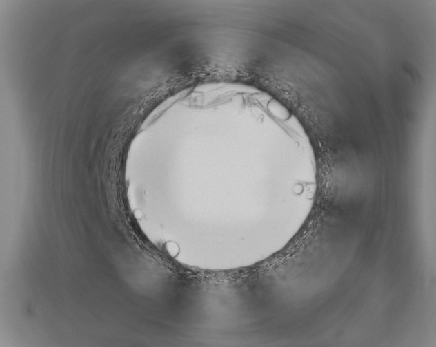 X0000112980769200908270918