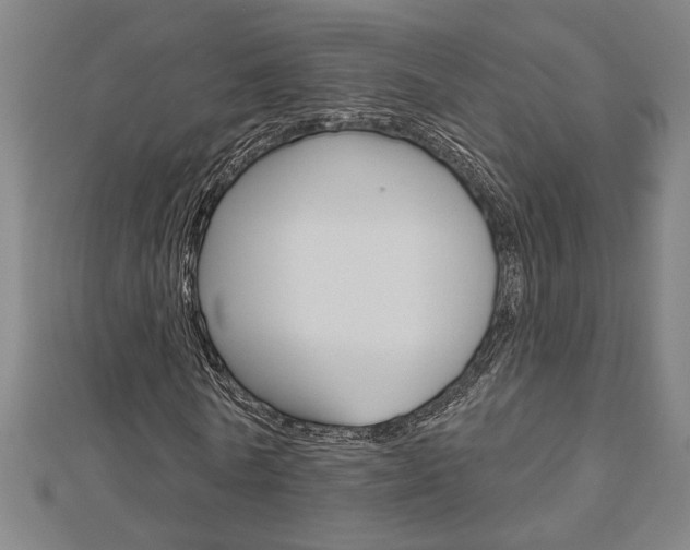 X0000112980770200908270918