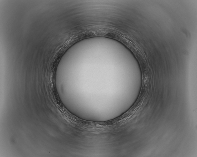 X0000112980772200908270917