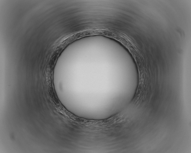 X0000112980773200908270917