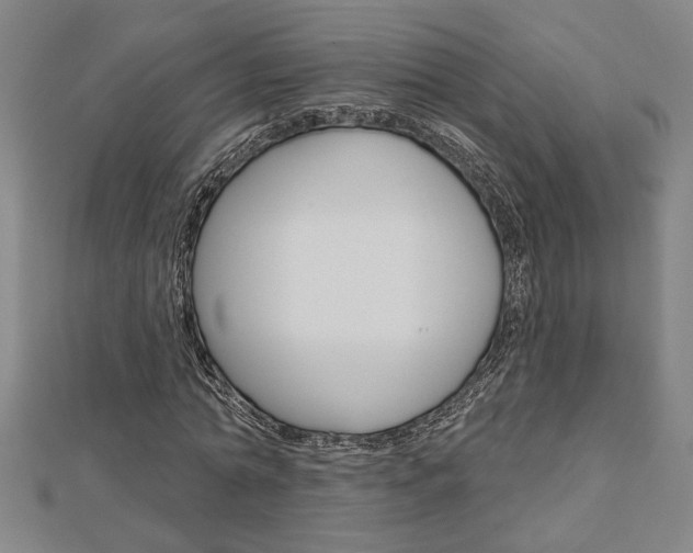 X0000112980774200908270917