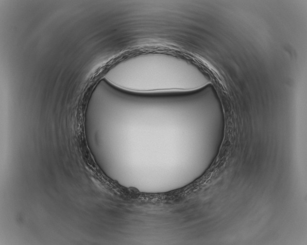 X0000112980775200908270917