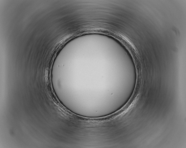 X0000112980777200908270917