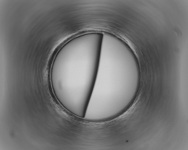X0000112980779200908270917
