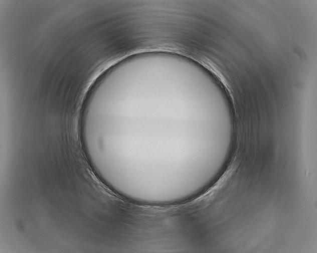 X0000112980781200908270917