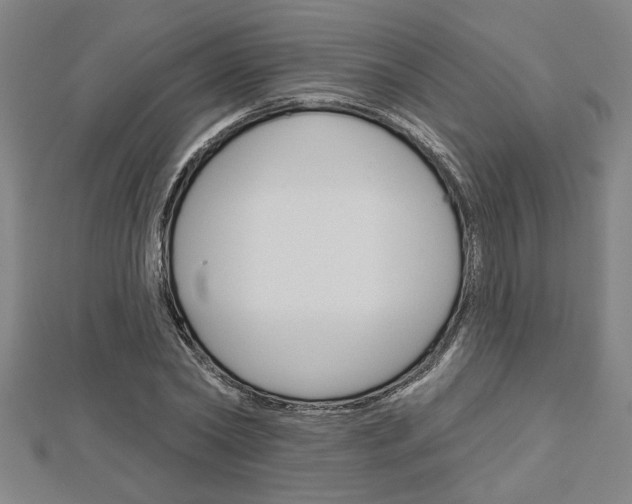 X0000112980782200908270917