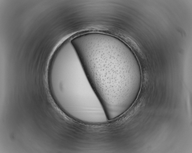 X0000112980784200908270917