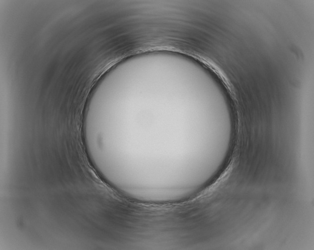 X0000112980785200908270917