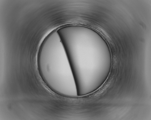 X0000112980788200908270917