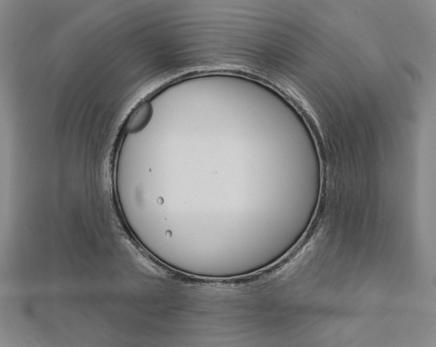 X0000112980789200908270917