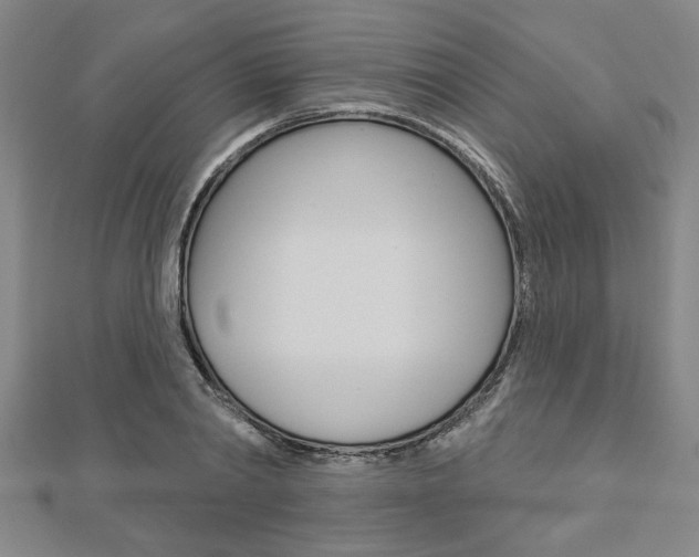 X0000112980790200908270917