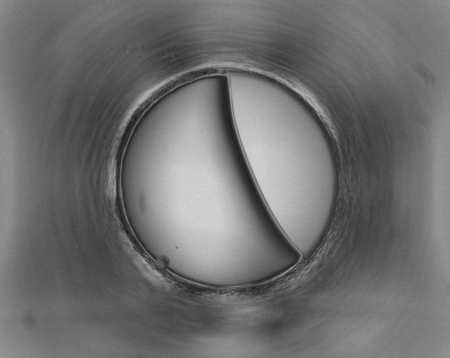 X0000112980791200908270917