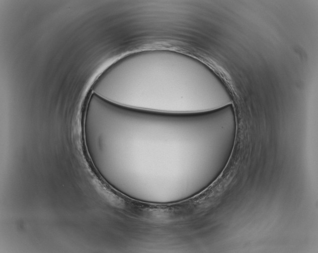 X0000112980792200908270917