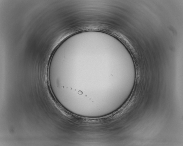 X0000112980794200908270917
