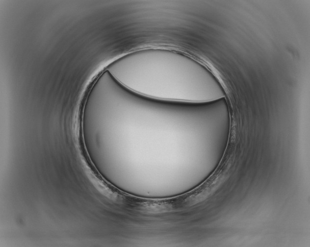 X0000112980795200908270917