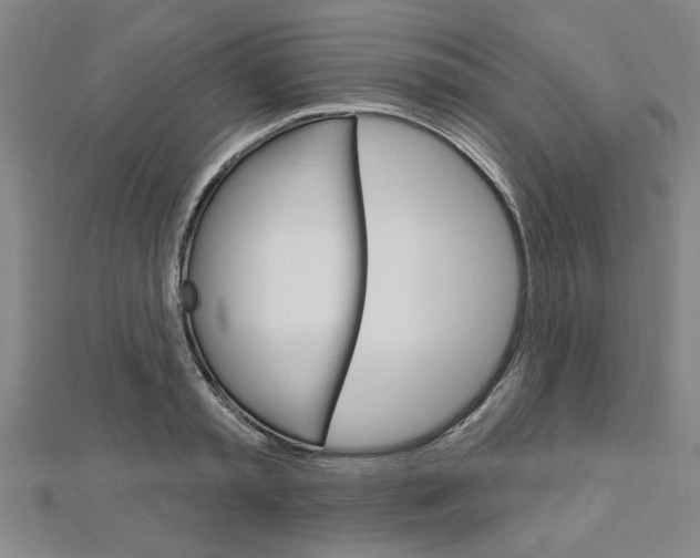 X0000112980797200908270917