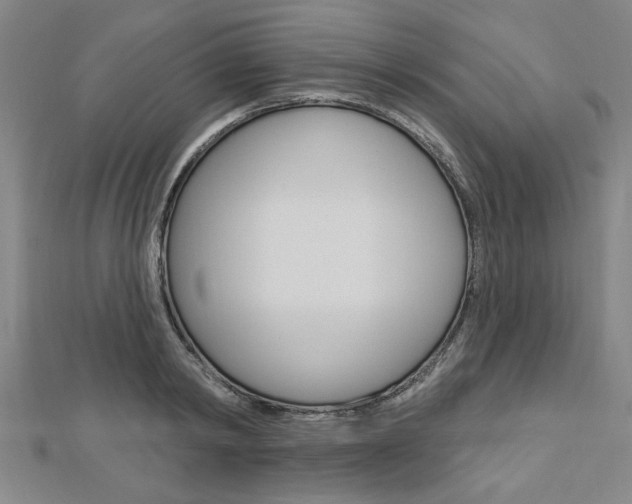 X0000112980798200908270917