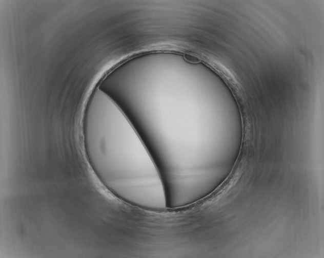 X0000112980800200908270917