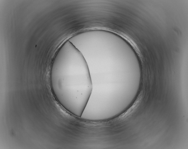 X0000112980801200908270917