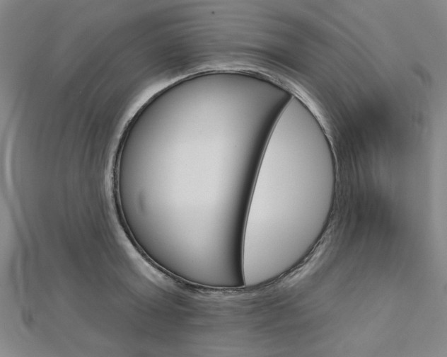X0000112980803200908270917