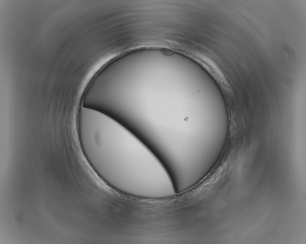 X0000112980804200908270917