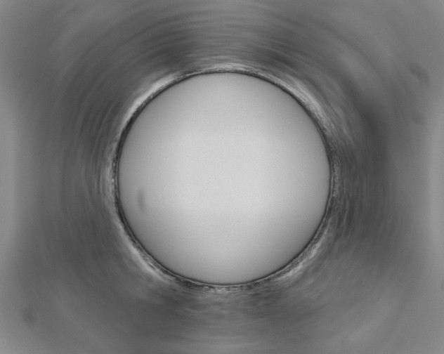 X0000112980806200908270917