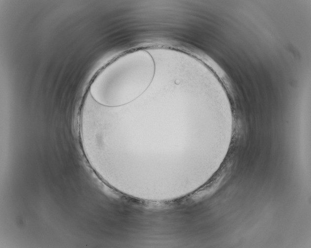 X0000112980807200908270917