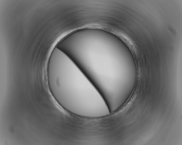 X0000112980808200908270917