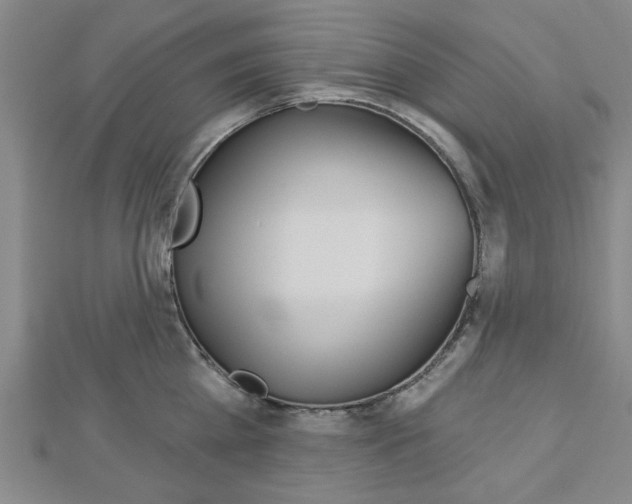 X0000112980809200908270917