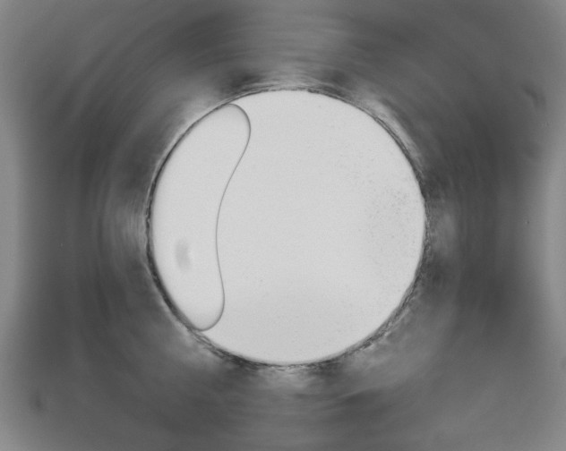 X0000112980810200908270917