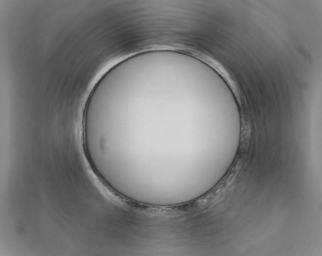 X0000112980811200908270917