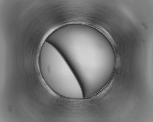 X0000112980812200908270917