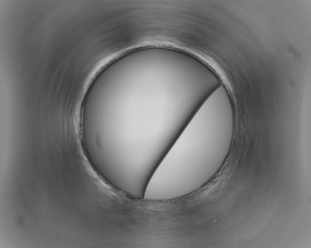 X0000112980815200908270917