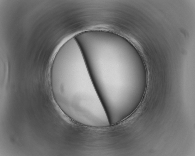 X0000112980816200908270917