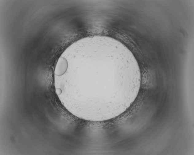 X0000112980820200908270916