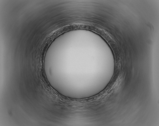 X0000112980821200908270916