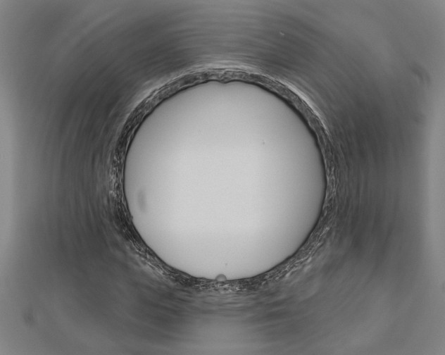 X0000112980823200908270916
