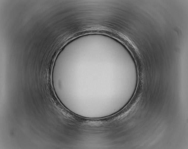 X0000112980825200908270916