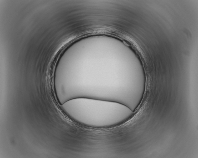 X0000112980827200908270916