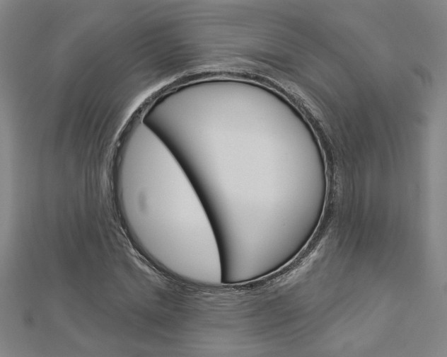 X0000112980830200908270916