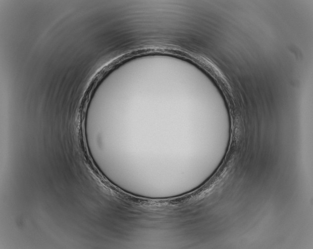 X0000112980831200908270916