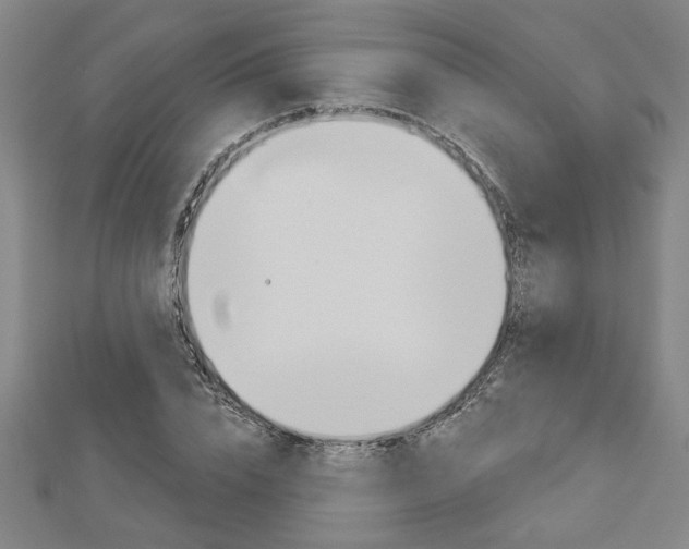 X0000112980832200908270916