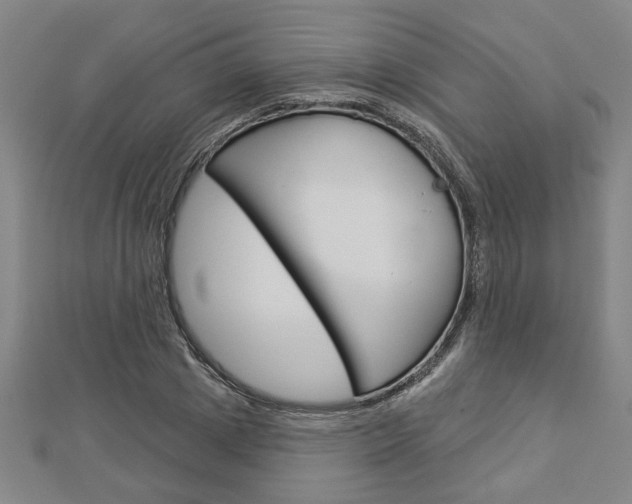 X0000112980833200908270917