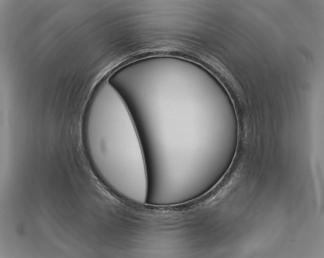 X0000112980834200908270917