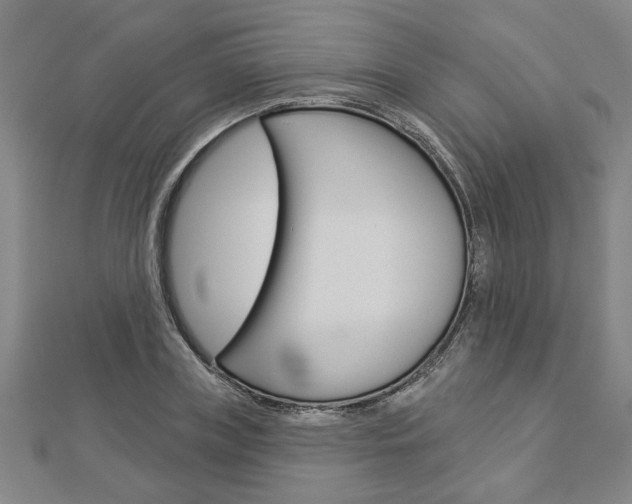 X0000112980835200908270917