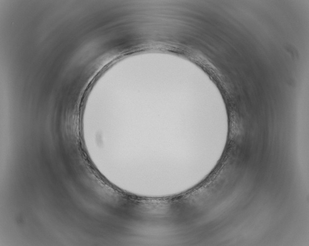 X0000112980836200908270917