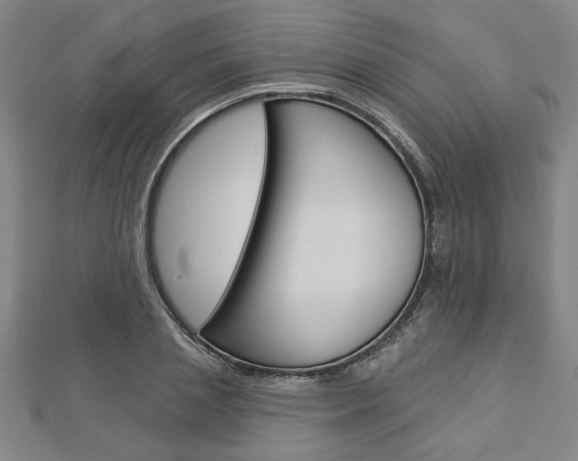 X0000112980837200908270917