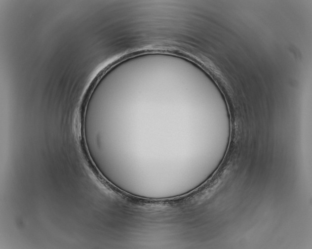 X0000112980838200908270917