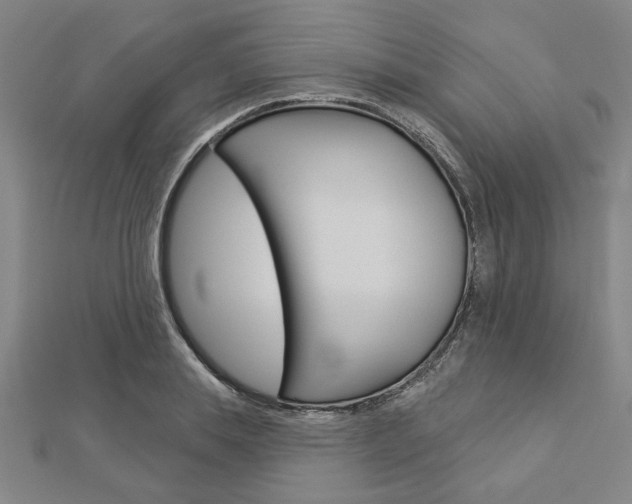 X0000112980839200908270917
