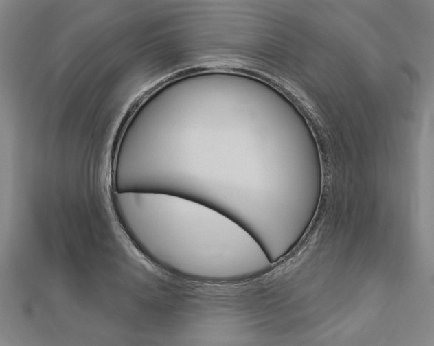 X0000112980840200908270917